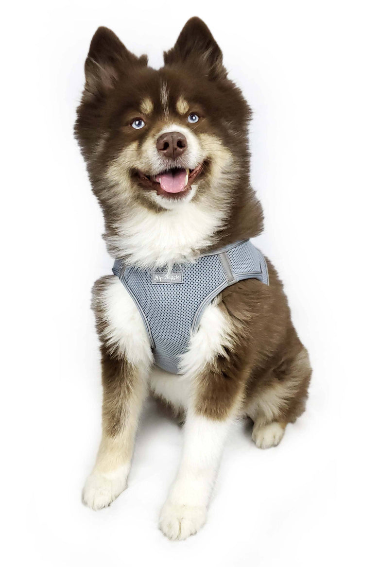 Barker's Bowtique Barker's Bowtique - Hip Doggie-Old Header Cards- EZ Step-In Harness -Gray: XXS