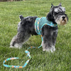 Doggie Design, Inc Harnesses XS Cool Mesh Dog Harness with Leash - Pineapple Luau