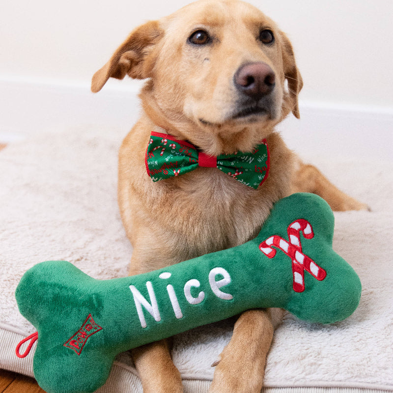 Huxley & Kent Huxley & Kent - Naughty Nice Bone Dog Toy: Large
