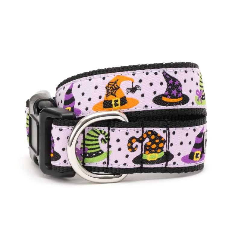 The Worthy Dog COLLARS XS Halloween Purple Bewitched Colorful Hats Dog Collar