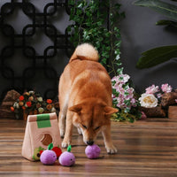 Hugsmart Products Inc dog toys Food Party Grocery Bag Interactive Plush Dog Toy Set - 4 Pc