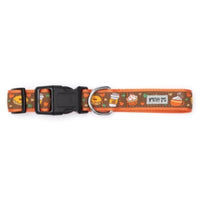 The Worthy Dog COLLARS Pumpkin Spice Fall Harvest Dog Collar