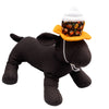 Pumpkin Spice Fall Season Party / Costume Pet Hat / Canvas Pet Toy - 2 Sizes