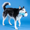 Today Is Tee-rific Golf Tee Plush Squeaky Dog Toy