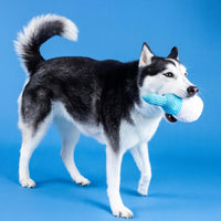 Today Is Tee-rific Golf Tee Plush Squeaky Dog Toy