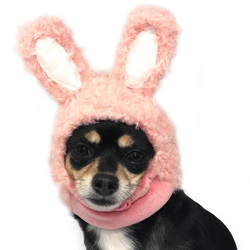 Dogo Pet Hats Pink Bunny Easter Pet Hat