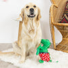 Bachelor Rex Hearts & Bottle of Bubbly Plush Squeaky Dog Toy