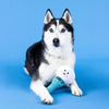 Today Is Tee-rific Golf Tee Plush Squeaky Dog Toy