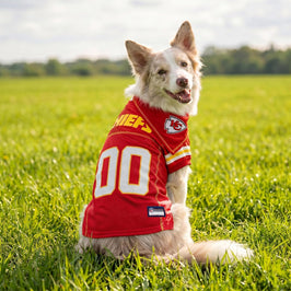Kansas City Chiefs Mesh Dog Jersey