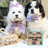 Haute Diggity Dog dog toys Checker Chewy Trunk Activity House Dog Toy
