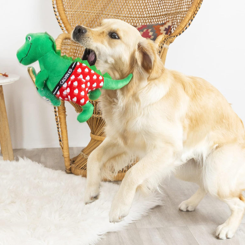 Bachelor Rex Hearts & Bottle of Bubbly Plush Squeaky Dog Toy