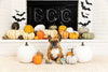 PetShop by Fringe Studio dog toys Halloween Fright Night Plush Squeak Dog Toy Set - 3 Pc