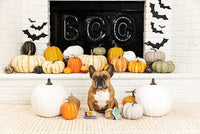 PetShop by Fringe Studio dog toys Halloween Fright Night Plush Squeak Dog Toy Set - 3 Pc