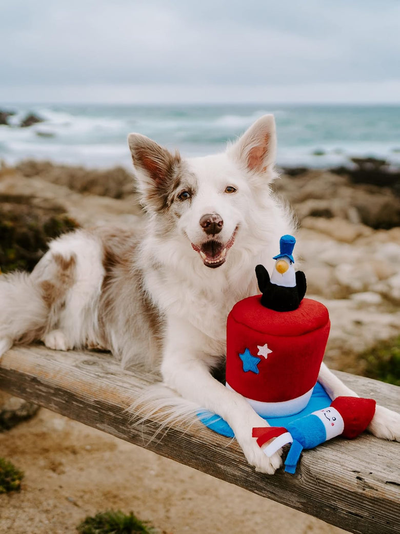 Americana Burrow Patriotic Top Hat Interactive Dog Toy Set - 4 Pc