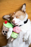Bubble Tea Plush Squeaky Dog Toy Set - 2 Pc