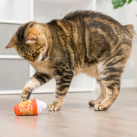 Meowww Spice Latte Fall Season Plush Cat Toy