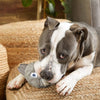 BARK dog toys Hare Raiser Rabbit Rubber Super Chewer Grey Dog Toy - Med
