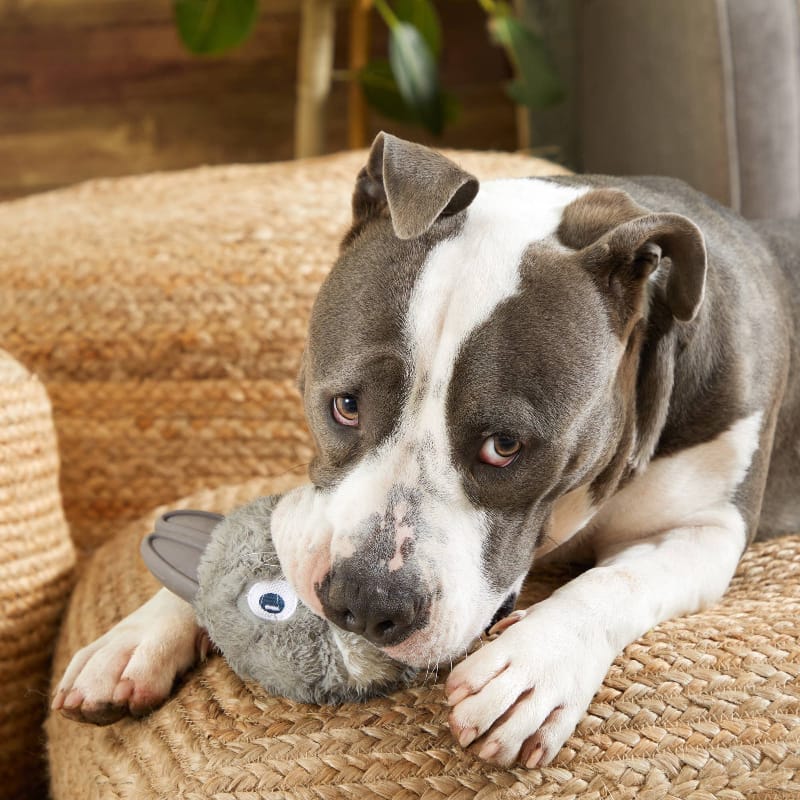 BARK dog toys Hare Raiser Rabbit Rubber Super Chewer Grey Dog Toy - Med