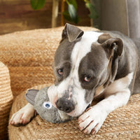 BARK dog toys Hare Raiser Rabbit Rubber Super Chewer Grey Dog Toy - Med