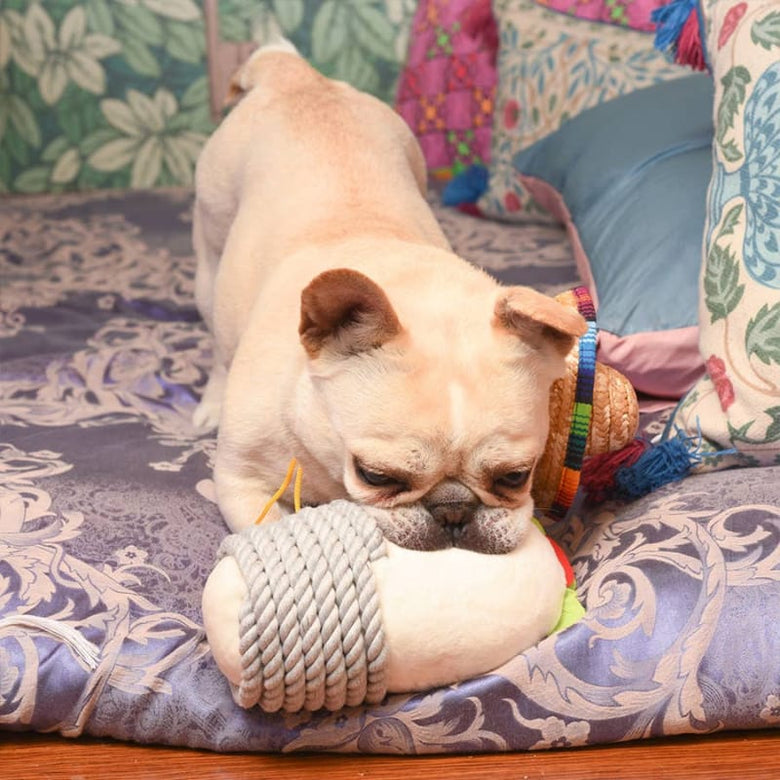 Hugsmart Products Inc dog toys Fiesta Chewsday Burrito Rope Plush Dog Toy