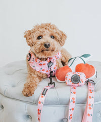 SASSY WOOF Leashes Mon Cherry (Fruits) Pink Dog Leash