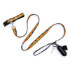 Halloween Season Orange Frank Dog Leash - Large