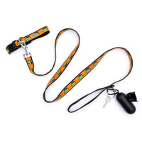 Halloween Season Orange Frank Dog Leash - Large