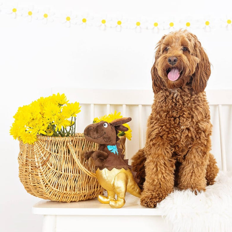 Petshop by Fringe Studio dog toys Easter Choc-A-Saurus Bunny Ears Rex Spring Plush Squeak Dog Toy