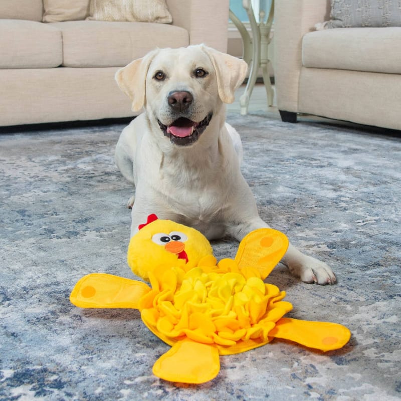 Outward Hound dog toys Snuffle Palz Chicken Interactive Puzzle Plush Dog Toy
