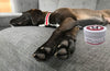Warren London Spa Product Hydrating Butter Balm - For Nose and Paws