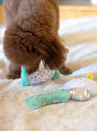 Thoozy dog toys Happy Birthday Bone, Cupcake, Party Hat Small Plush Dog Toy Set - 3 Pk