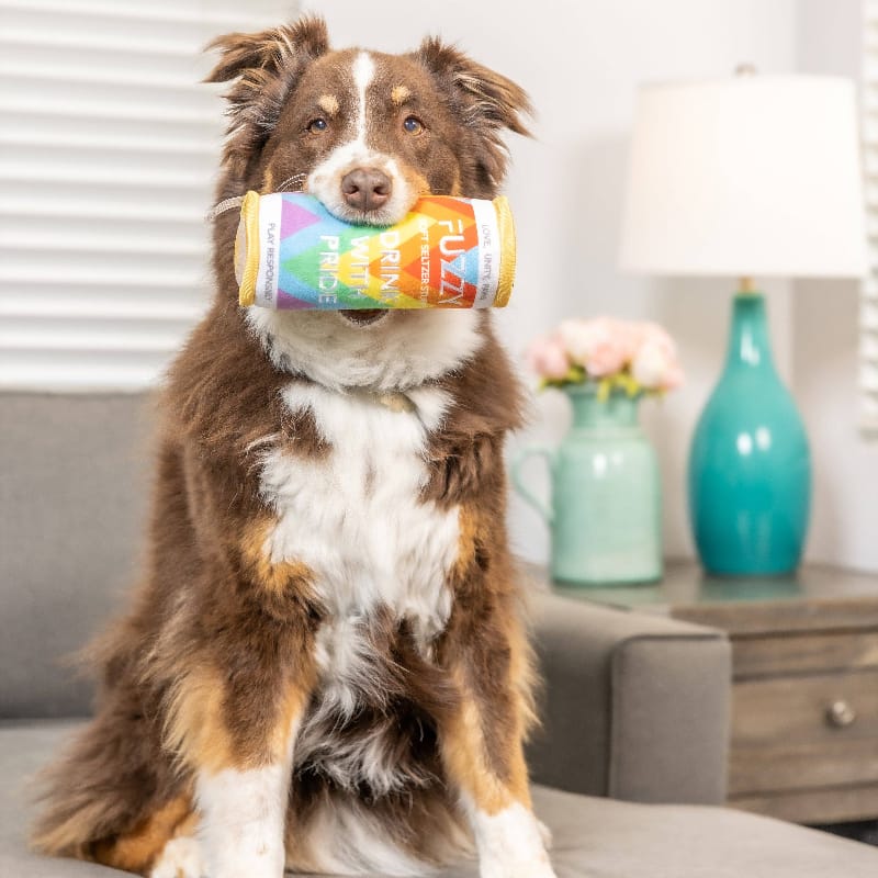 Huxley & Kent dog toys Fuzzy Soft Seltzer Rainbow Pride Plush Squeaky Dog Toy - 2 Sizes