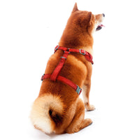 GA Georgia Bulldogs Red Quilted Velvet Dog Harness