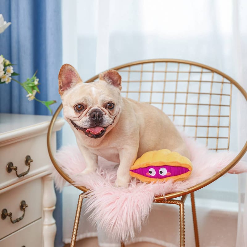 Hugsmart Products Inc dog toys Ocean Pals Peeky Eye Clam Plush Squeak Dog Toy