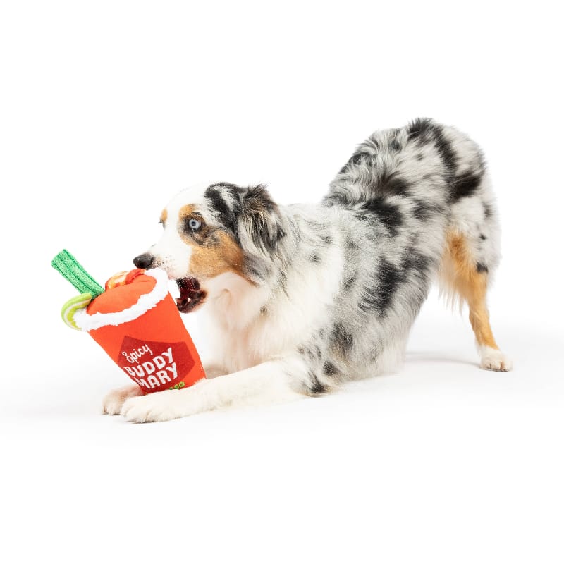 Huxley & Kent dog toys Buddy Mary Spicy Pawbasko Plush Dog Toy - 2 Sizes