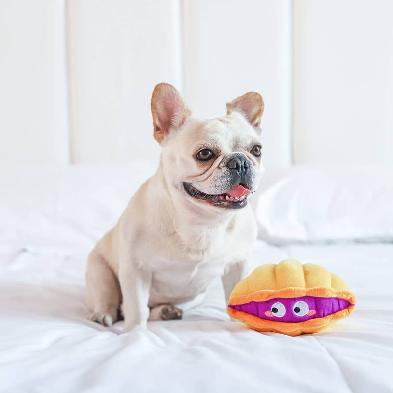 Hugsmart Products Inc dog toys Ocean Pals Peeky Eye Clam Plush Squeak Dog Toy