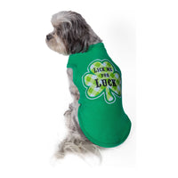 Barker's Bowtique Tee's St. Patrick's Shamrock Lick Me For Luck Dog T Shirt