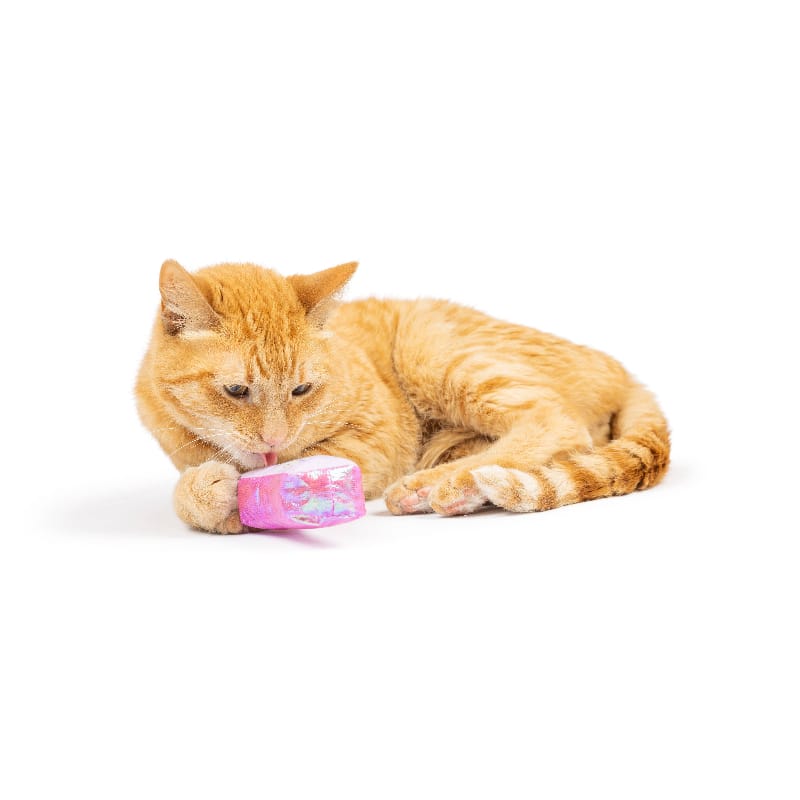 Huxley & Kent Cat Toys Hoppy Easter Cat Toy Set - 2 Pc