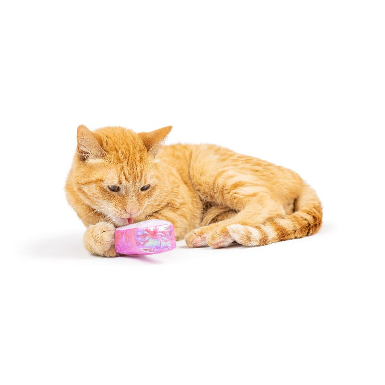 Huxley & Kent Cat Toys Hoppy Easter Cat Toy Set - 2 Pc