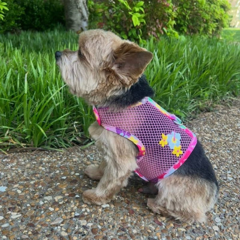 Doggie Design, Inc Harnesses XS Cool Mesh Dog Harness with Leash - Hawaiian Floral Pink