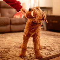 Thoozy dog toys Football Shaggy Plush Squeak Dog Toy - 6.5"