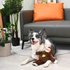 Hugsmart Products Inc Hugsmart Products Inc - HugSmart Pet - Jungle Tails | Sloth - Dog Plush Toy