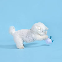 Hugsmart Products Inc dog toys Ocean Pals Blue Dolphin Ball Dog Toy