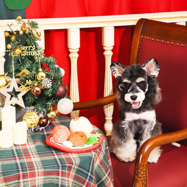 Hugsmart Products Inc dog toys Happy Woofmas Christmas Dinner Interactive Plush Dog Toy Set - 4 Pc