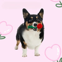 TM - FUNNYSNOW dog toys Plush Red Rose Flower Rope Tug Dog Toy