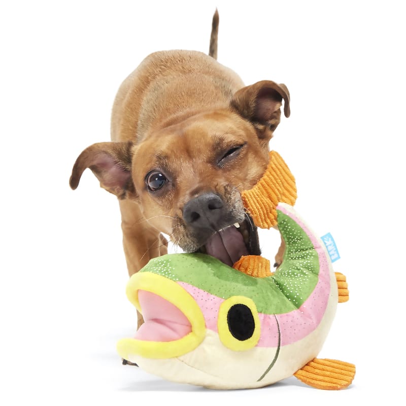 BARK dog toys Brooke Trout Colorful Plush Squeak Dog Toy