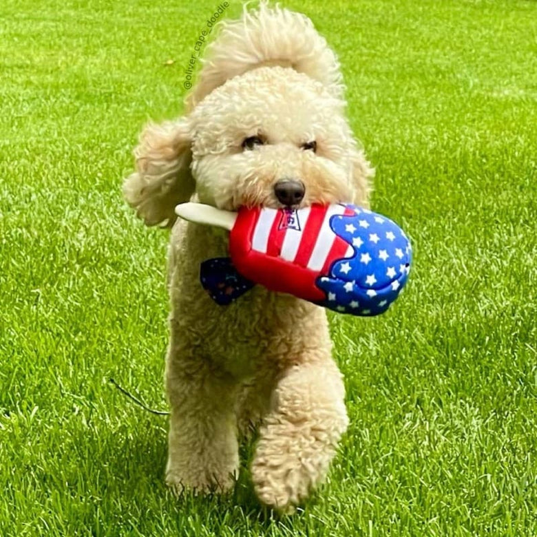 Huxley & Kent dog toys Star Pop and Stripes Plush Squeaky Dog Toy