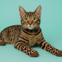 Extreme Fit Wholesale Pet Socks Brown Leopard Matching Pet & Owner Fun Socks - One Size Fits Most