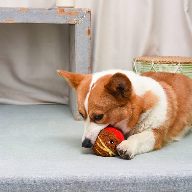 Hugsmart Products Inc dog toys Food Party Spaghetti Meatball Ball Plush Dog Toy