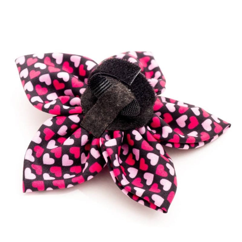 The Worthy Dog Bow Ties Hearthrob Flower Pet Collar Attachment